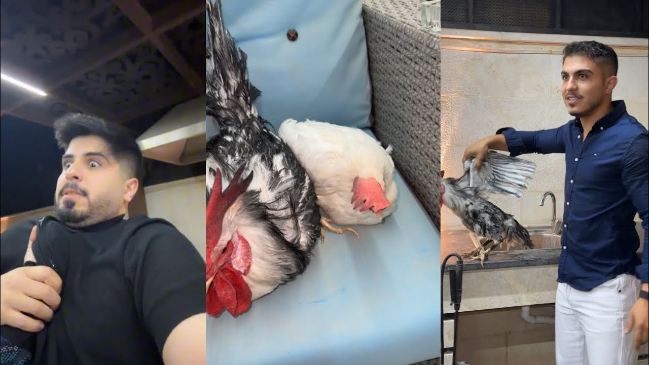 جبنالها عريس معه بي أم ومدير بنك 😱🔥😂💔