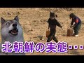 【貴重写真】絶対に見てはいけない北朝鮮の実態が赤裸々に・・・
