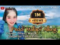 PEDDI MALLAPI ALLUNG~Voc:Dhani Malik~Cipt:Padly Patiroy