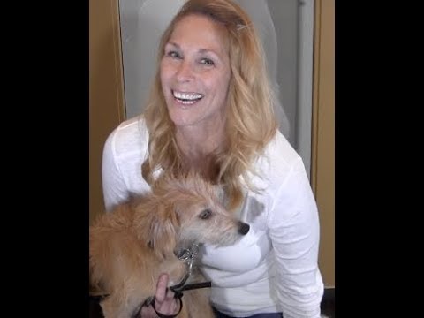potty-bell-puppy-&-dog-training-tips