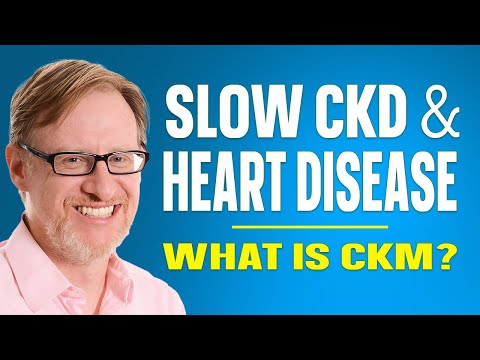Unlocking Kidney Health: How Diet, Probiotics, and the Gut Microbiome Slow CKD and Heart Disease
