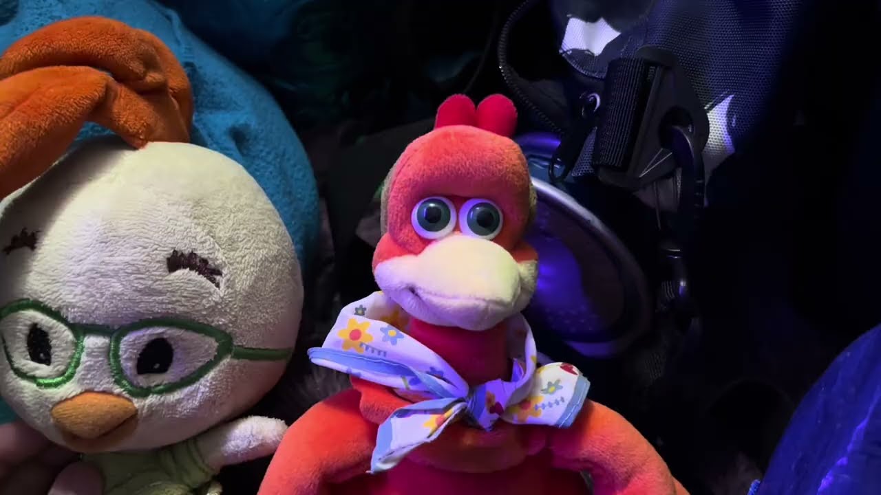 The chicken escape ￼