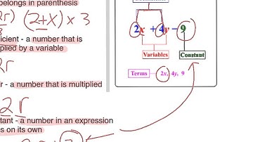 6.EE.2b - identifying parts of an expression