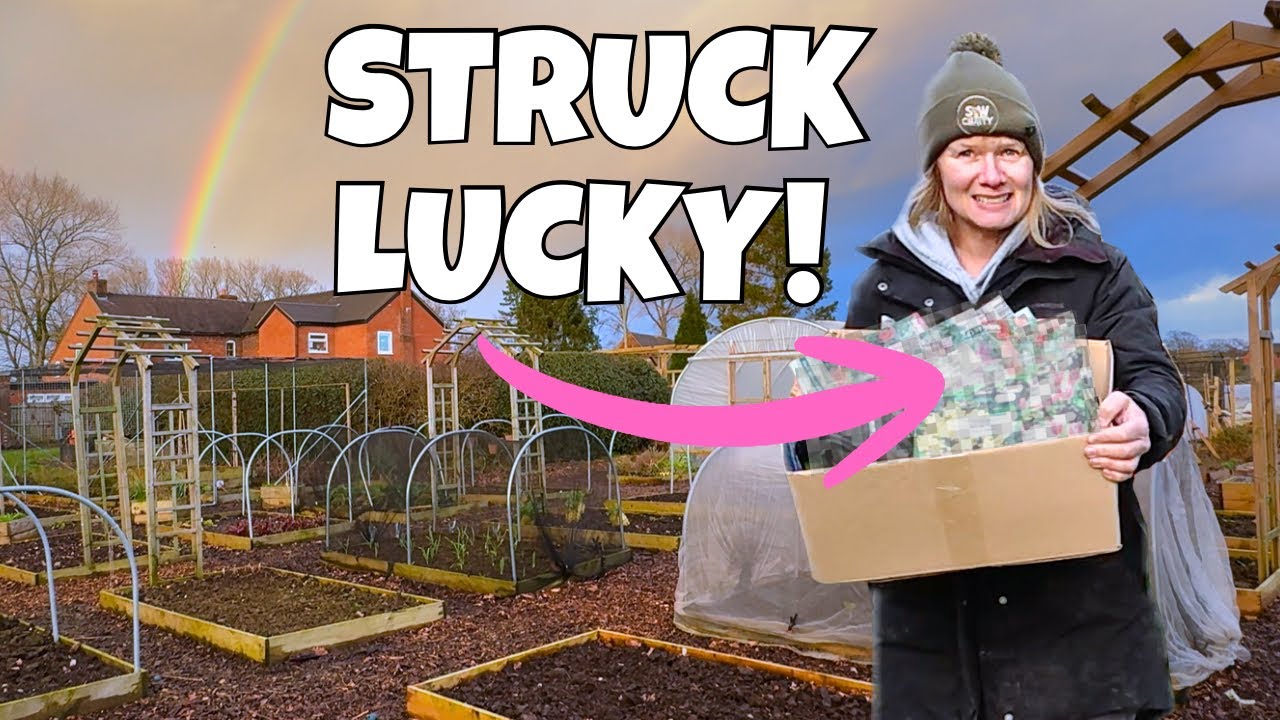 Found A HUGE Pot of Gold at the Garden Centre! Essential February Job Completed