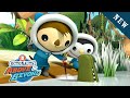 Octonauts: Above & Beyond - Cold Snap Rescue | Season 2 |@OctonautsandFriends