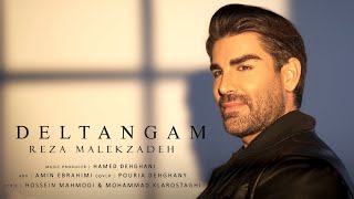 Reza Malekzadeh - Deltangam | رضا ملک زاده - دلتنگم Resimi