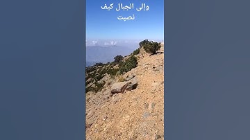 #تلاوة_خاشعة #تلاوة #تلاوات #تلاوة_هادئة #تلاوة_مميزة #islamic #islamicvideos #saudi #abha #abhacity