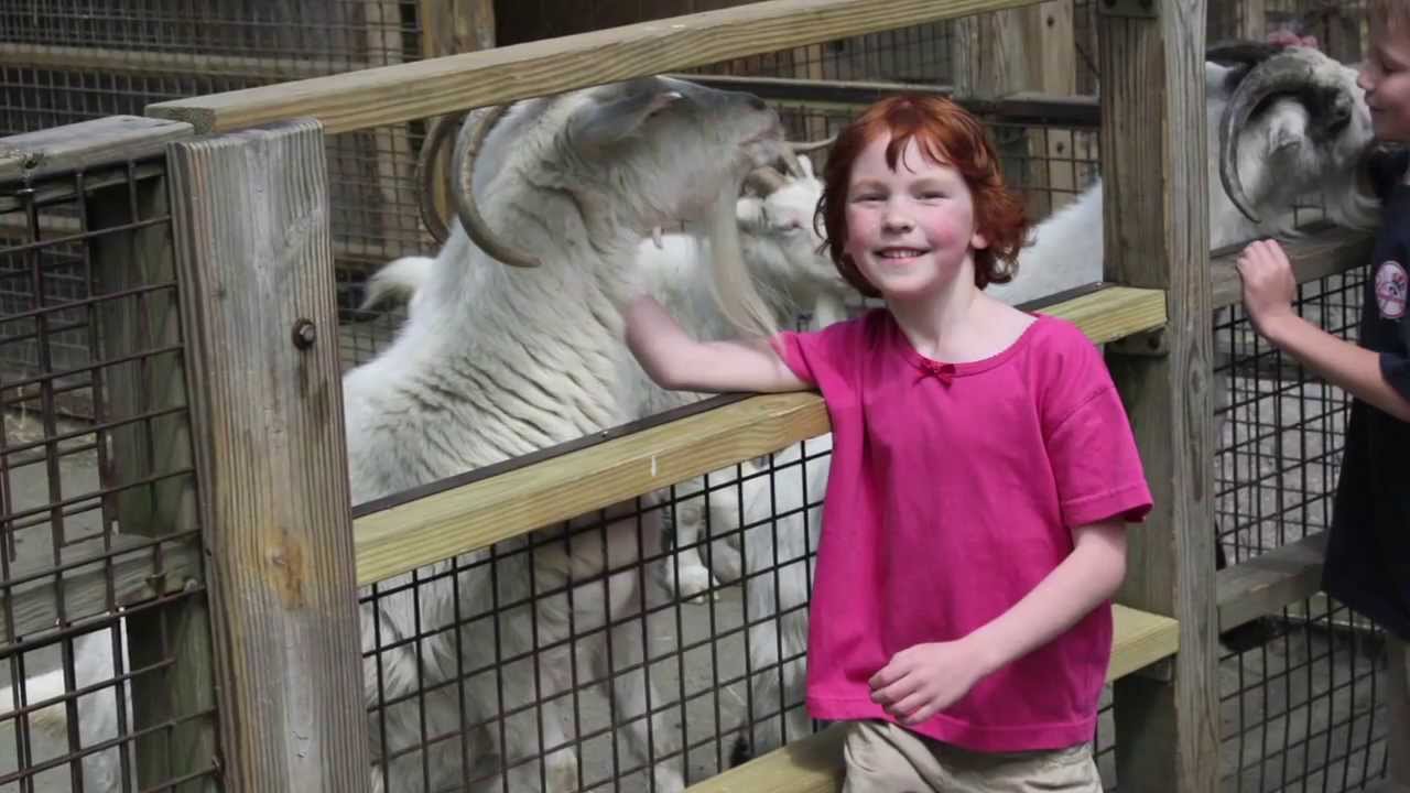 Sanctuary Yeti - Catherine Violet Hubbard Animal Sanctuary