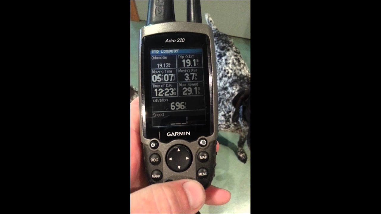 Garmin Astro 220 Handheld AS IS - YouTube