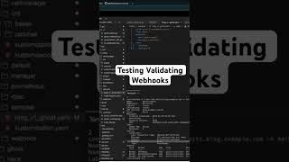 Testing Validating Webhooks - Kubebuilder Crash Course #kubebuilder #cloudnative #kubernetes