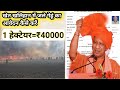 खेत में जले गेहूं का आवेदन कैसे करें|| @amitchak panchayat