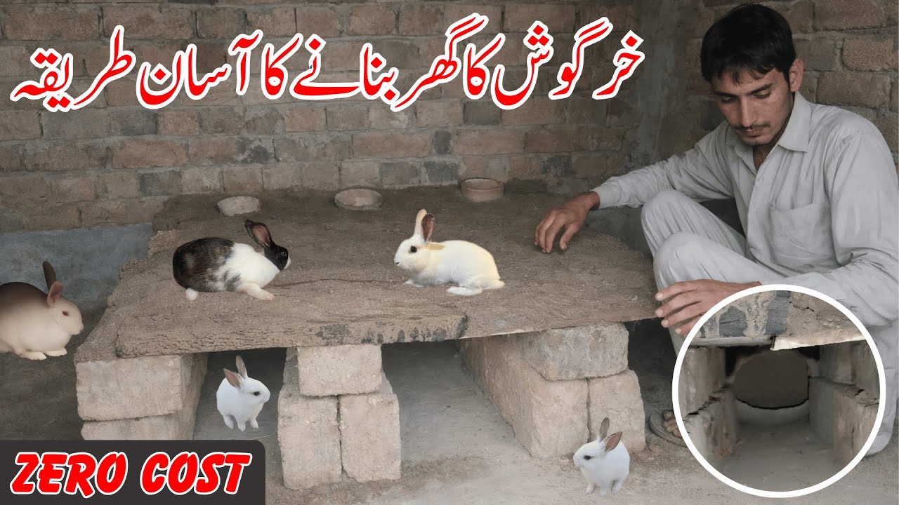 Khargosh ka ghar kaise banate hain🐇| how to make rabbit house at home 🐹 | Step by Step