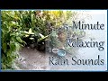 A 5minute relaxing rain sounds  verna bp
