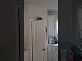 POV: 7 Footer Is The REAL Slender Man.