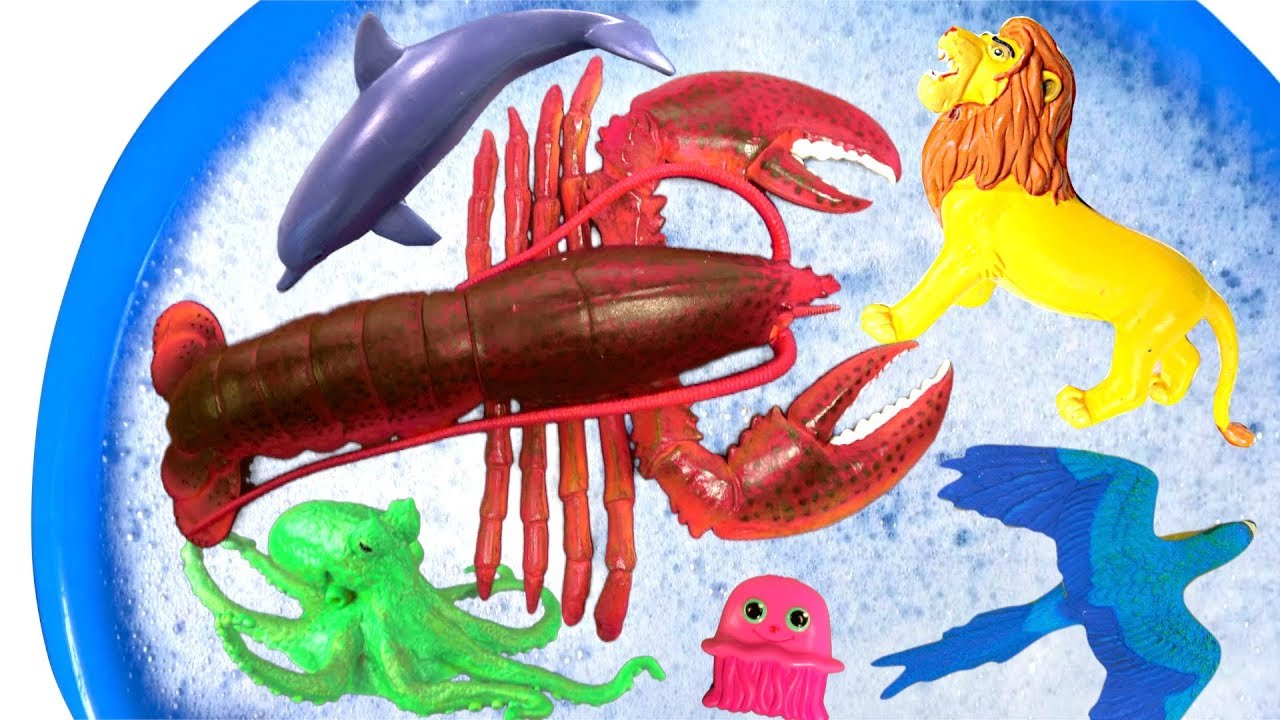 Wild Zoo Animals Toys Baby Mom Learn Animals Names Education Toys for