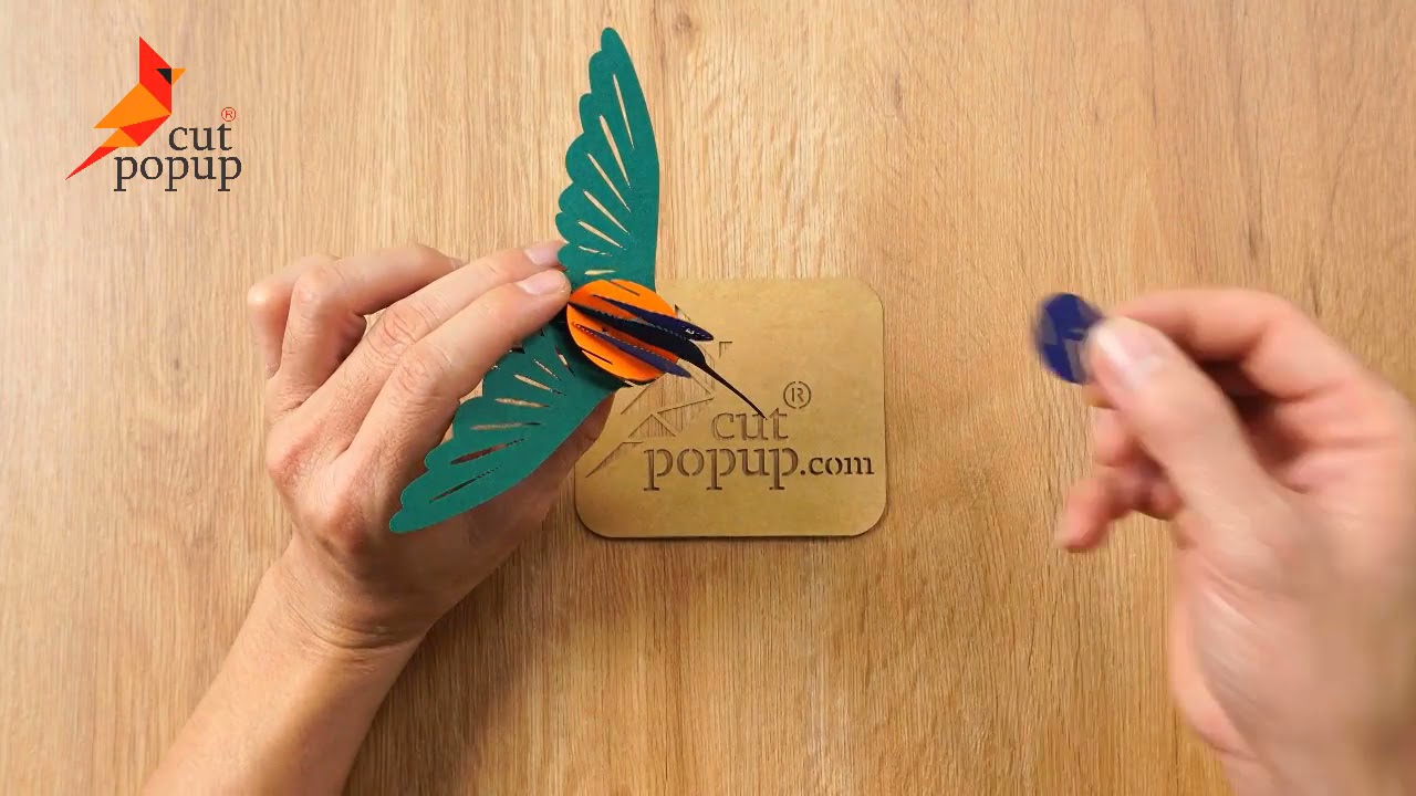 How To Make A Ruby Throated Hummingbird Pop-Up Card | Easy make model 3D  Cards - YouTube