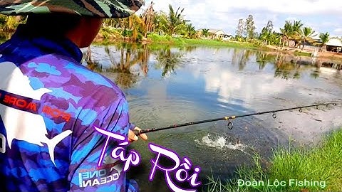 Chia Sẽ Cách Móc Nhái Đùn Không Xoay. Test Tại Bãi Câu Với Cú Táp Để Đời