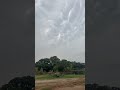 What kind of clouds are these?