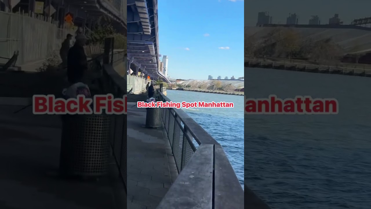 Black Fishing Spot in Manhattan #fishing #manhattan #blackfish #bridgefishing #blackfishing