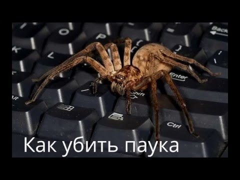 ПРИКОЛ! КАК УБИТЬ ПАУКА ☠&#55357;&#56348; ➄