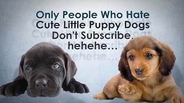 how to fix your mouse from disappear in camtasia studio 8 recorder