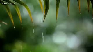 You \& Me Relaxing Piano Music \& Soft Rain Sounds For Sleep \& Relaxation