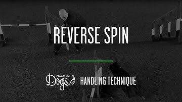 Reverse Spin Agility Handling Technique