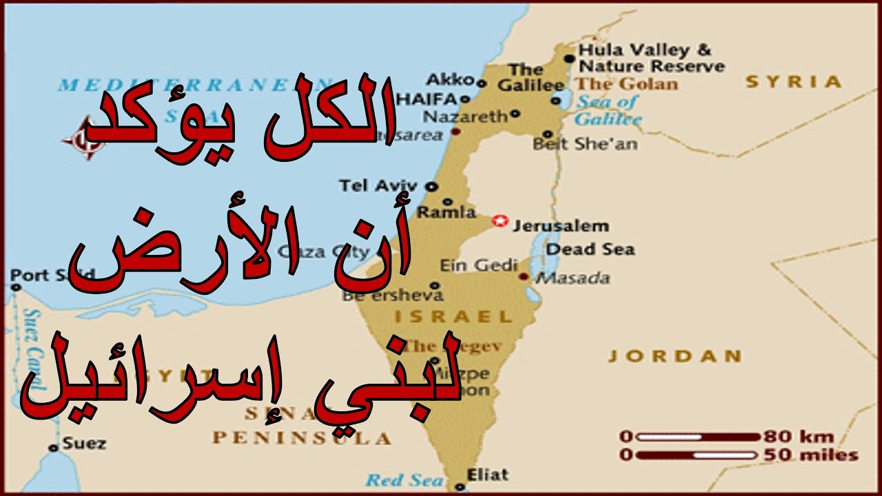 الكل يؤكد أن الأرض لبني إسرائيل | الأخ وحيد برنامج الدليل: الحلقة 700