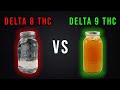 Delta 8 vs delta 9 the truth