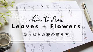 【 簡単 】葉っぱとお花の描き方とアレンジ方法 | draw with me