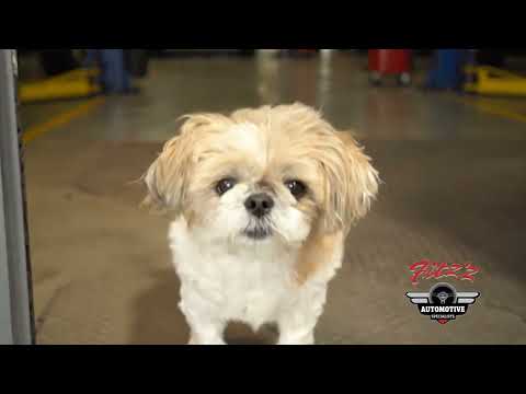 Fitz Auto Repair