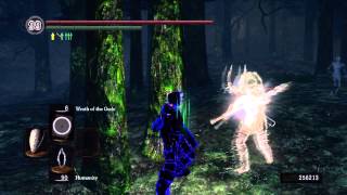 Dark Souls PvP Ep#14 - Dragon Weapon Dance...