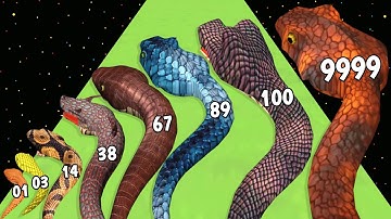 Snake Run Evolution - Level Up Snake Max Level Gameplay (Snake Evolution Run)