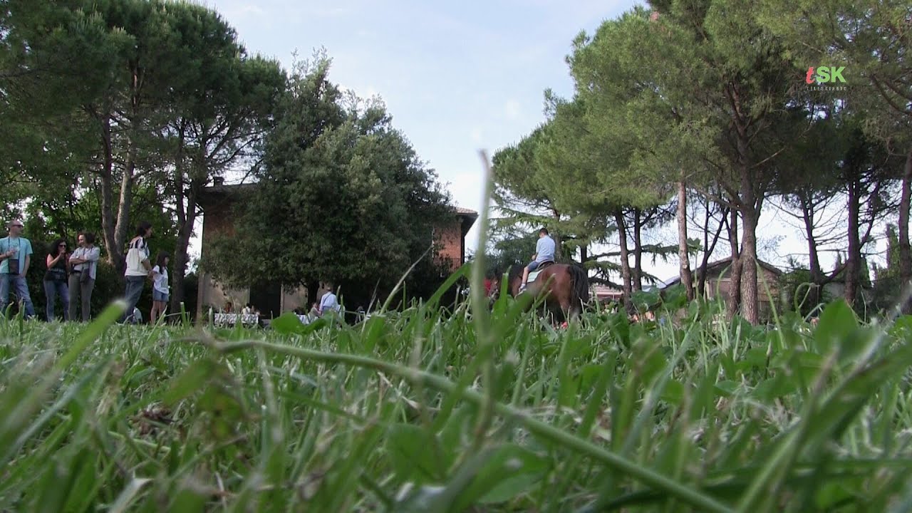 Cantine Aperte 2015: Cantina Fiorini by Teleskianto