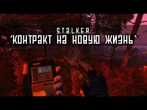 Видео: ОТЛИЧНЫЙ ПОДАРОК НА НОВЫЙ ГОД? S.T.A.L.K.E.R - КОНТРАКТ НА НОВУЮ ЖИЗНЬ | ОБЗОР 2020