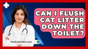Can I Flush Cat Litter Down The Toilet? - PetGuide360.com