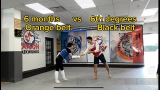 [Sparring]6 months Taekwondo VS  6th Black belt
