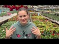 Mâncărica plantelor explicată simplu !