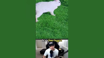 Unique Two-Legged Rabbit Design Process Explained - 3d game character in Blender - 3.5: Raz Rabbit