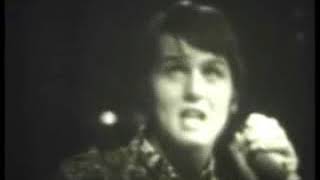 The Shuffles Cha la la I need you 1969 1
