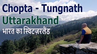 Chopta - Tungnath 🛕 : Exploring Uttarakhand | उत्तराखंड यात्रा वृतांत : चोपटा - तुंगनाथ - कौडियाला