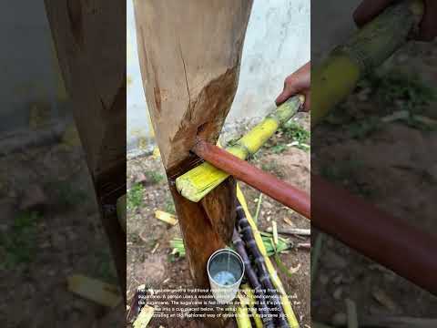 Traditional Sugarcane Juice Extraction - A Rustic Method