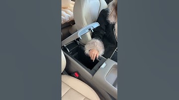 The New 2026 GWM Haval H6 L