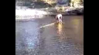 atv wakeboarding.3g2