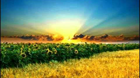 سورة الناس الشيخ صلاح البدير