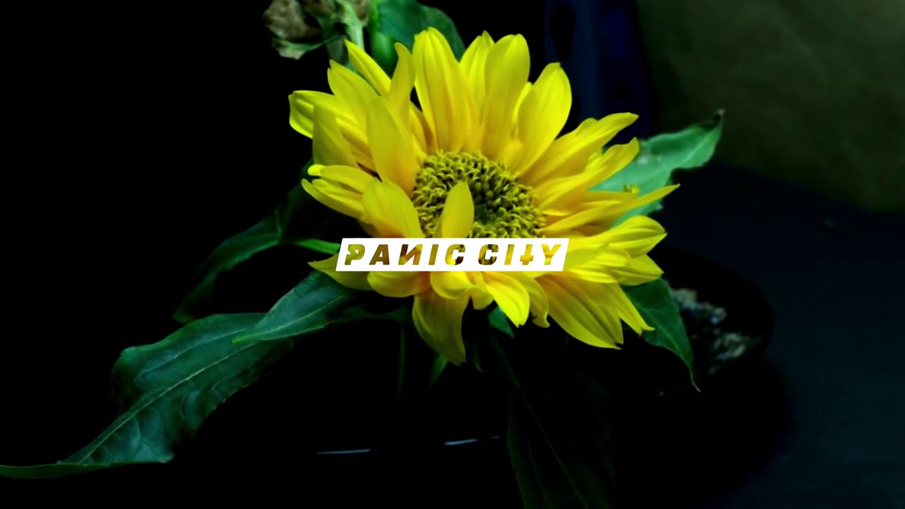 Post Malone & Swae Lee - Sunflower (Panic City Remix)
