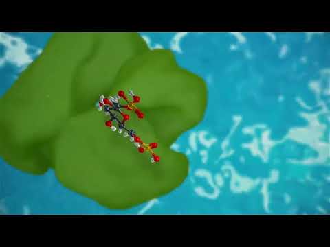 عملية التحلل السكري 