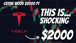 I am SHOCKED: HUGE WARNING for Tesla Stock Investors.. + $2000 Price Target.