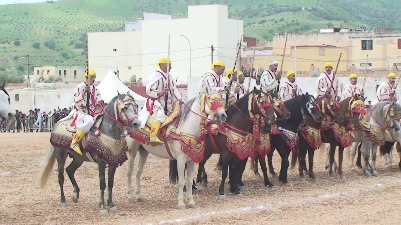 Festival de chevaux #taza #maroc #tbourida  #fantasia folklore #chevaux et fusils festival culturel