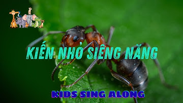 Học tiếng Việt siêu vui qua bài hát “KIẾN NHỎ SIÊNG NĂNG”